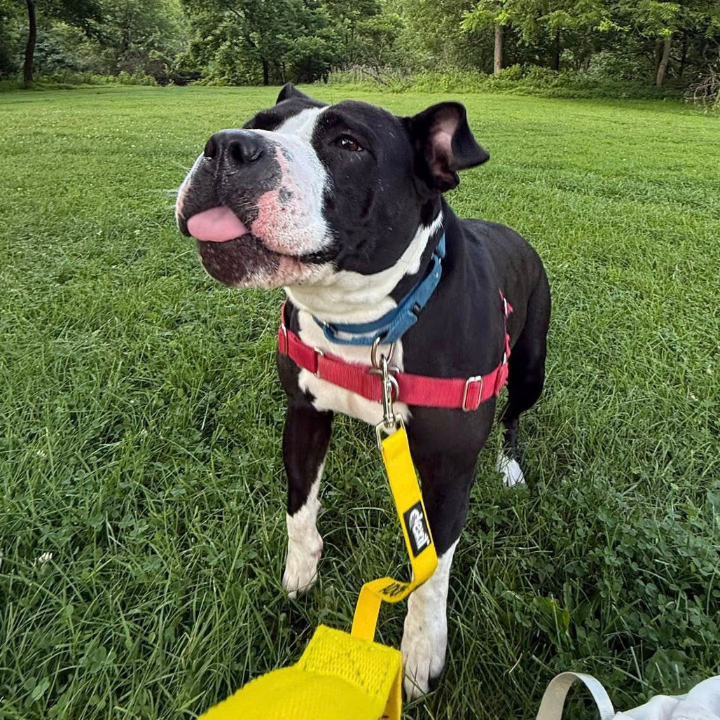 Photo of Jeanie 40