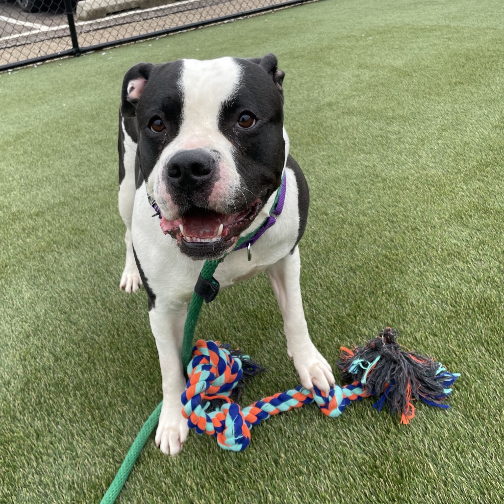 Ellie — thumbnail 3