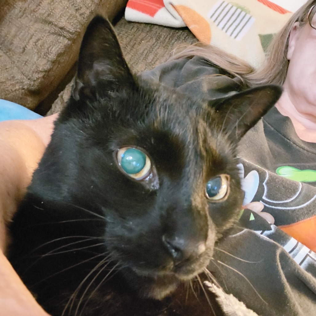Photo of Sammy 6