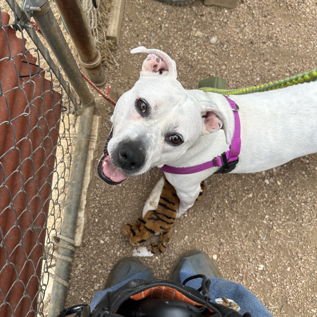 Angie — thumbnail 7