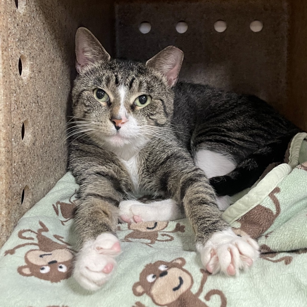 03bf332398175f87b49c9b13d02ebcf7