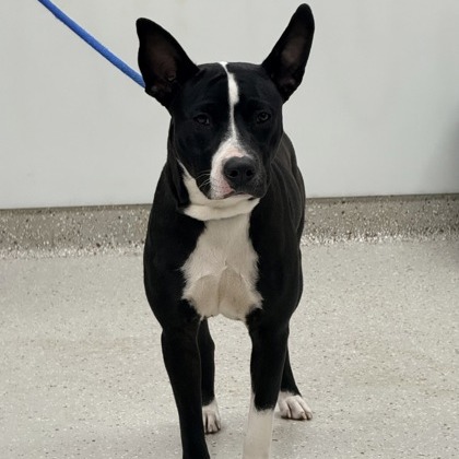 Wynter — thumbnail 3