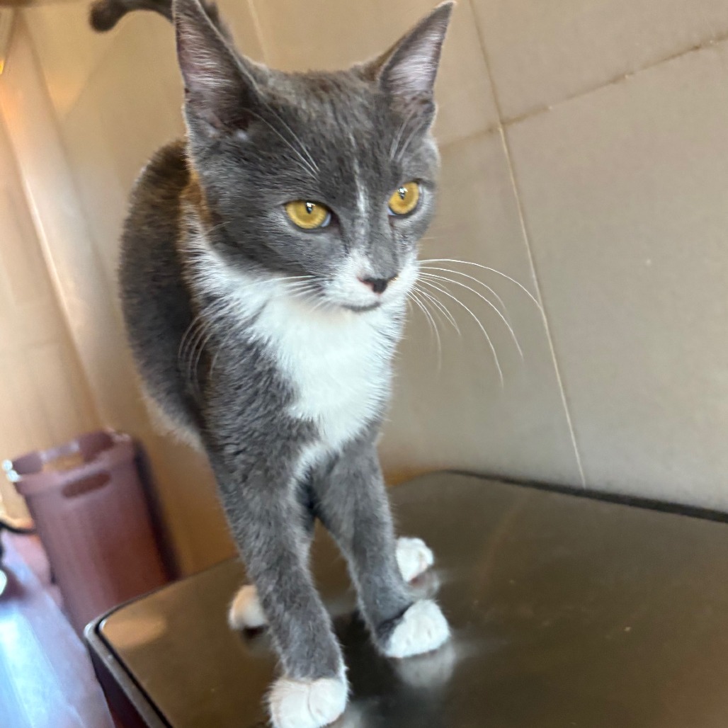 Catrick Swayze