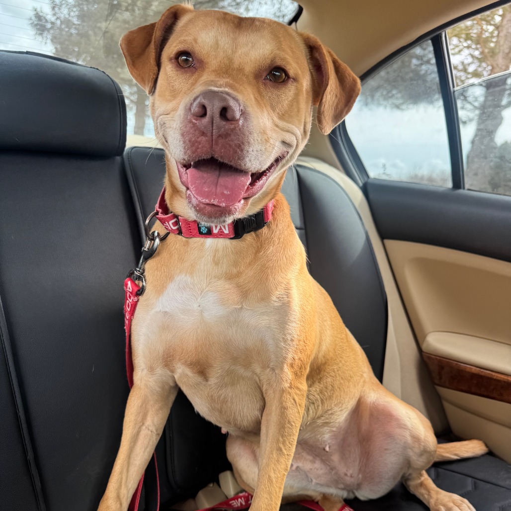 cf7da1a677ac057309e1221536826da9