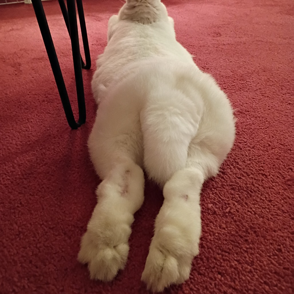 Daisy Belle, photo 3