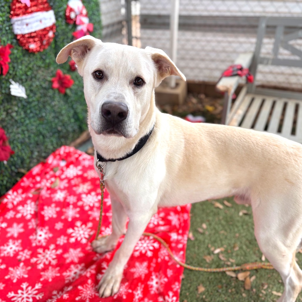 Autumn Equinox — thumbnail 11