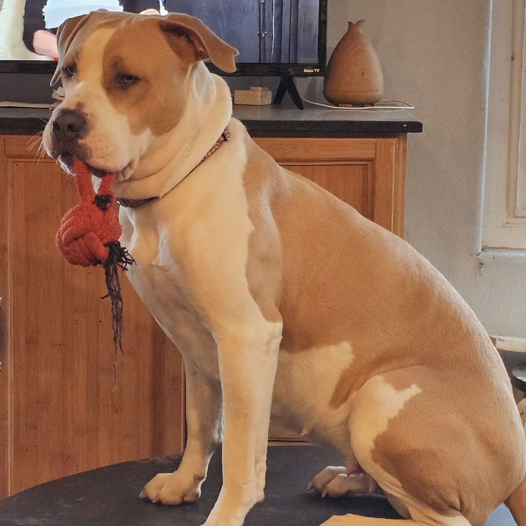 Lenore — thumbnail 5