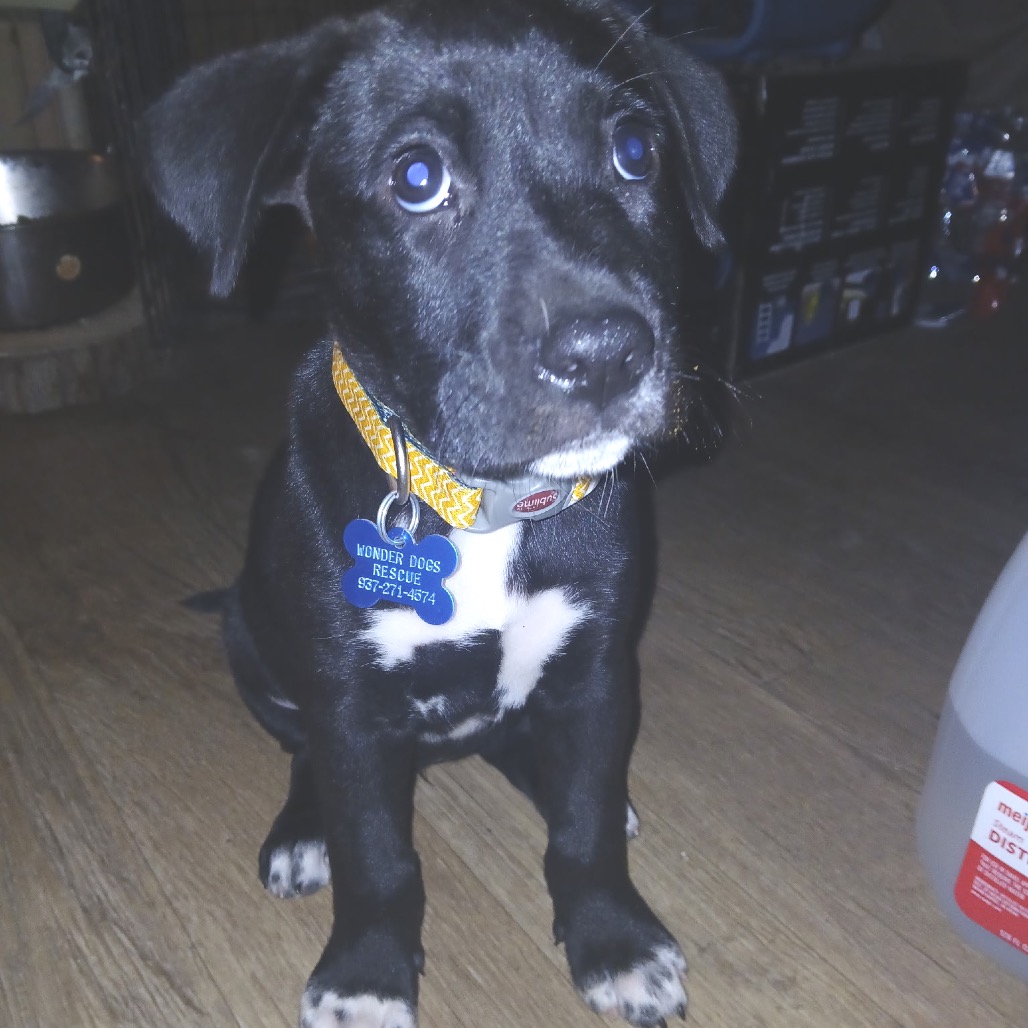 Coco, photo 2