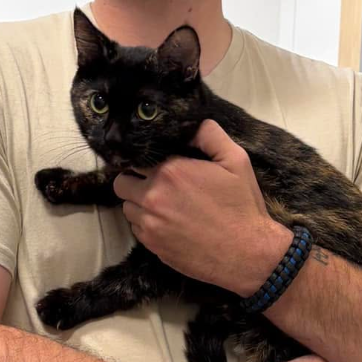Aquarius, adopted