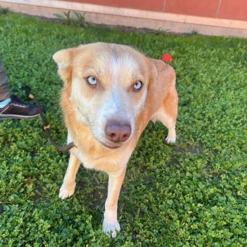 Kennel#18's preview photo