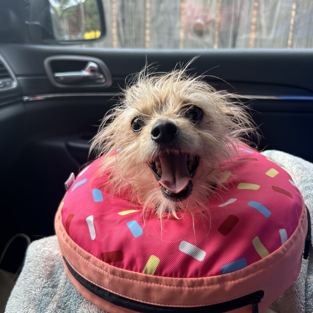 Bye Felicia — thumbnail 6