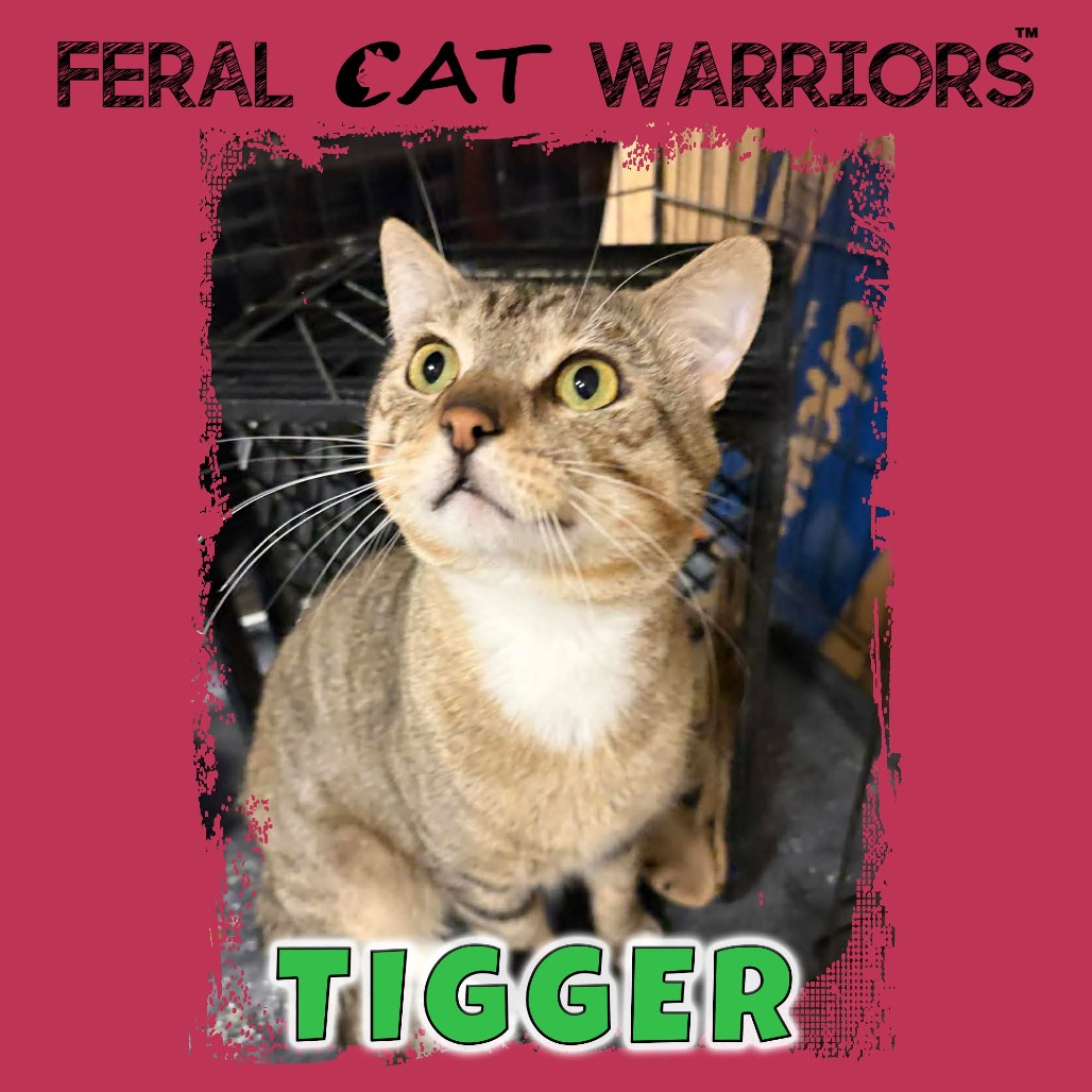 Tigger