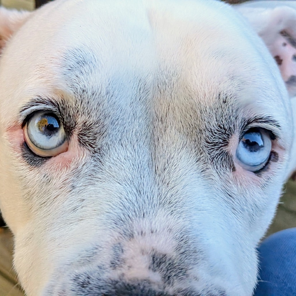 Blue, photo 4
