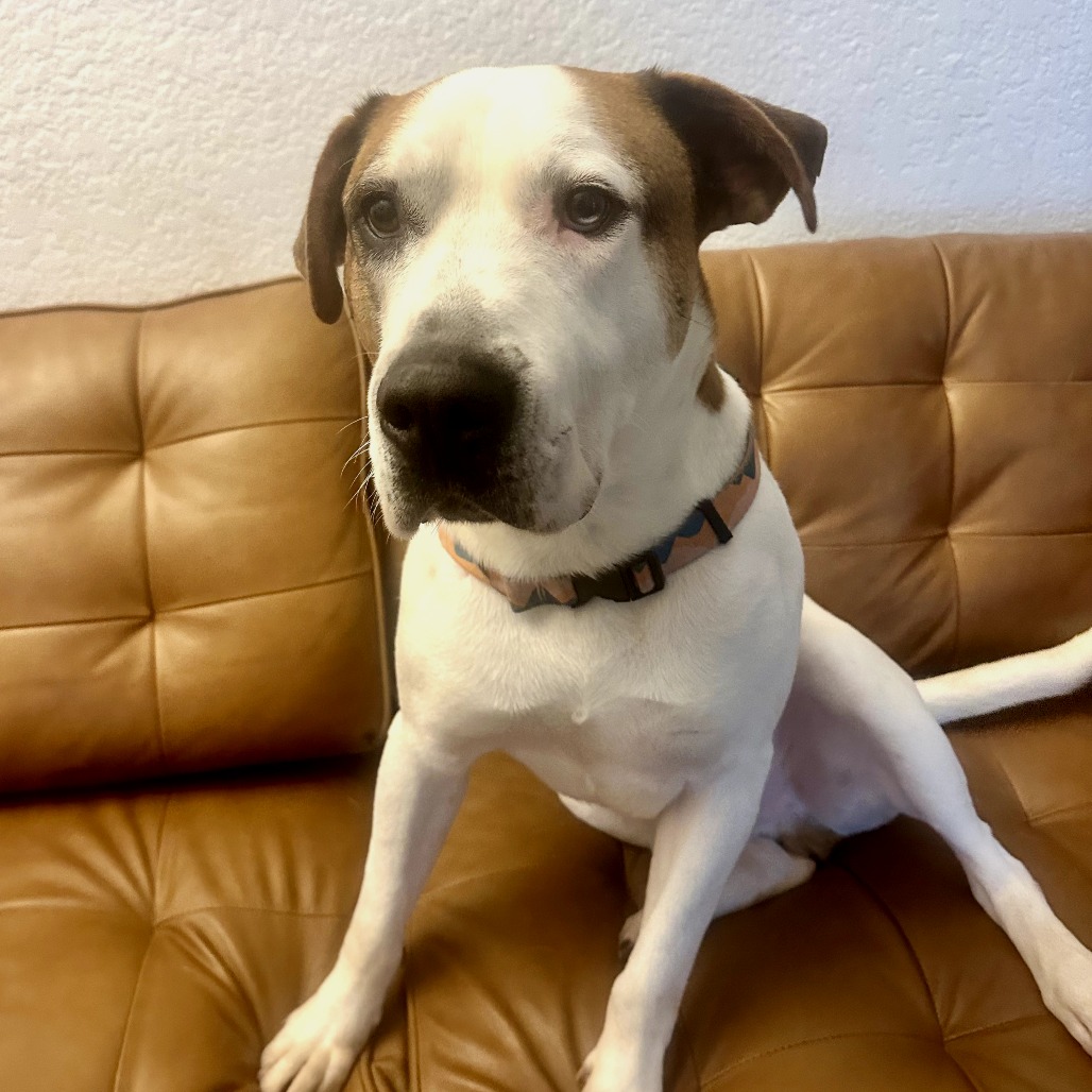 Sherman — thumbnail 3