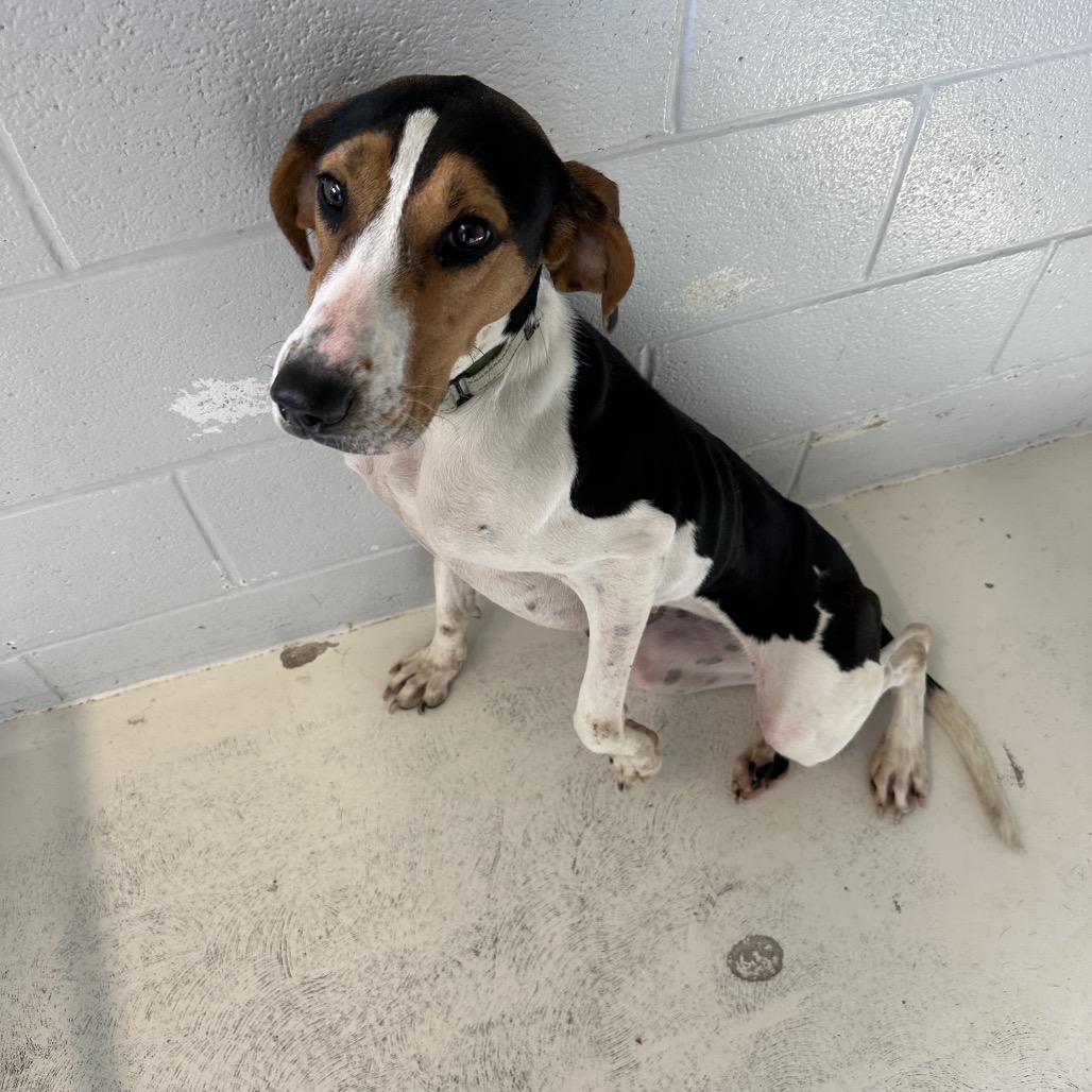 Maisy — thumbnail 5