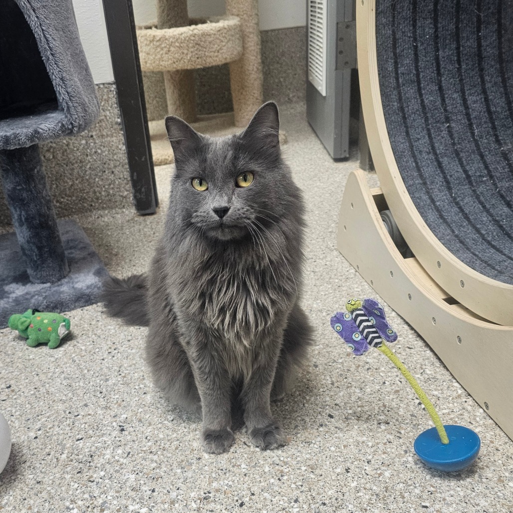 Oona — thumbnail 4