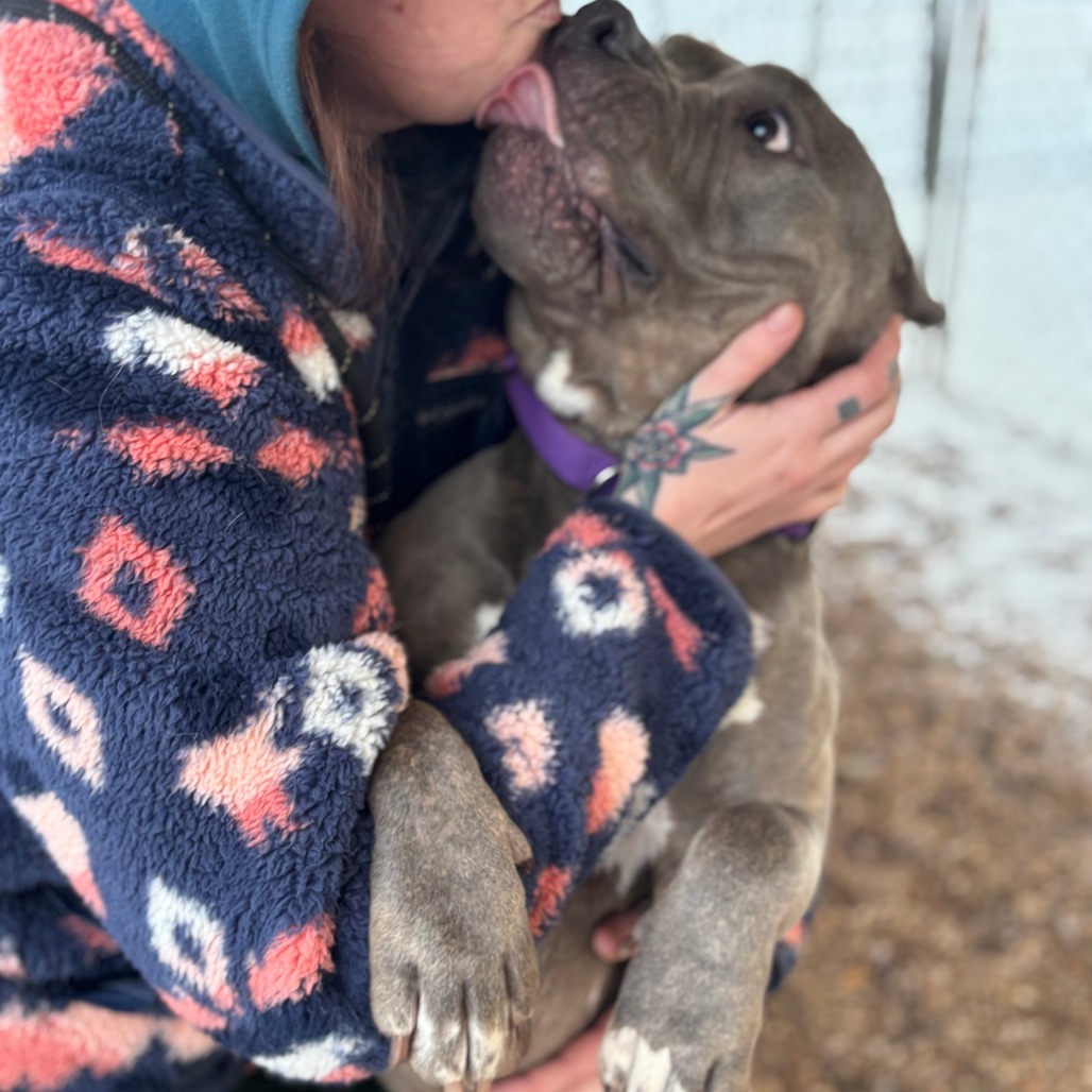 Fantine 2 — thumbnail 7