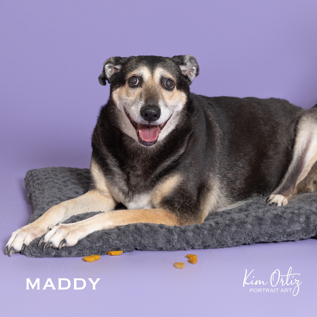 MADDY, photo 11