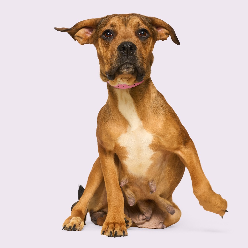 Debra — thumbnail 11