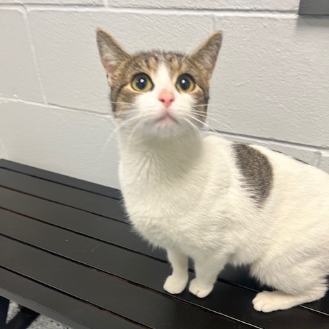 Clary — thumbnail 2