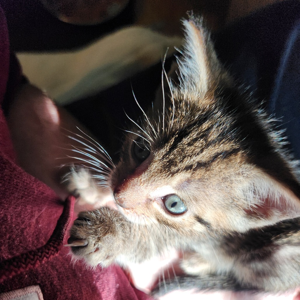 Astrid, photo 2