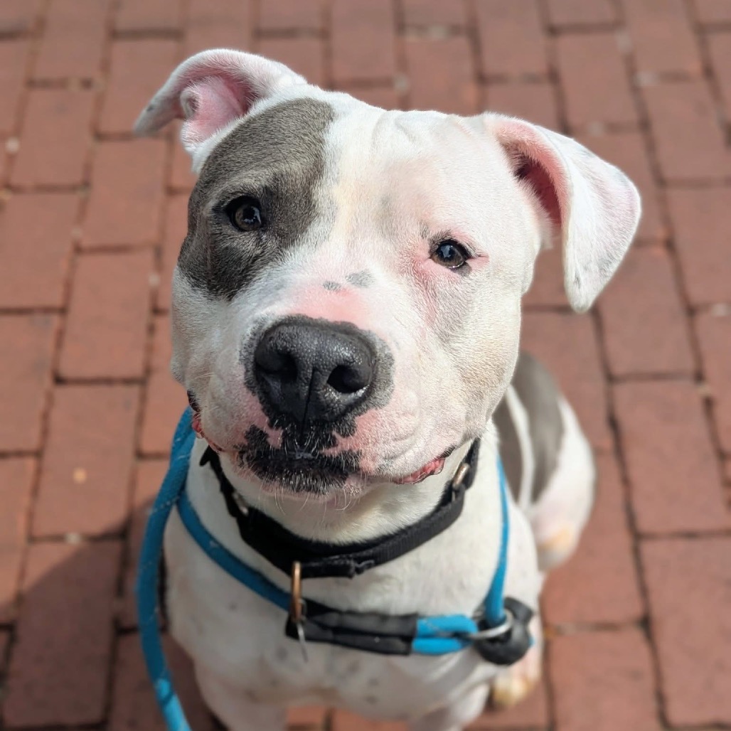 Fluttershy — thumbnail 3