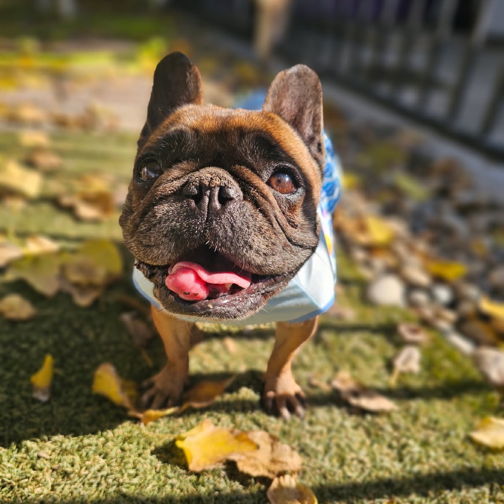 Ethel — thumbnail 4