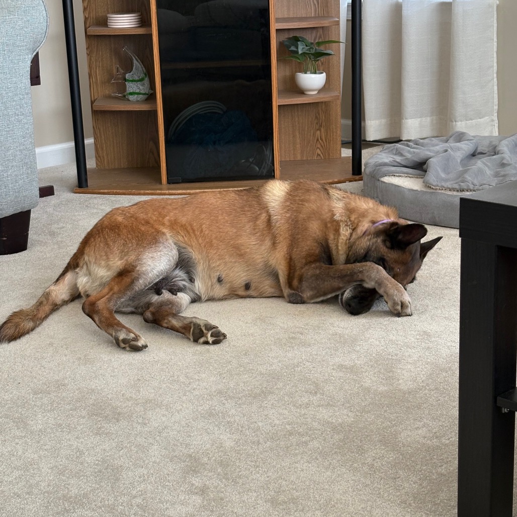 Big Momma — thumbnail 3