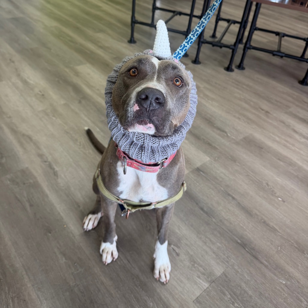 Hondo, photo 23