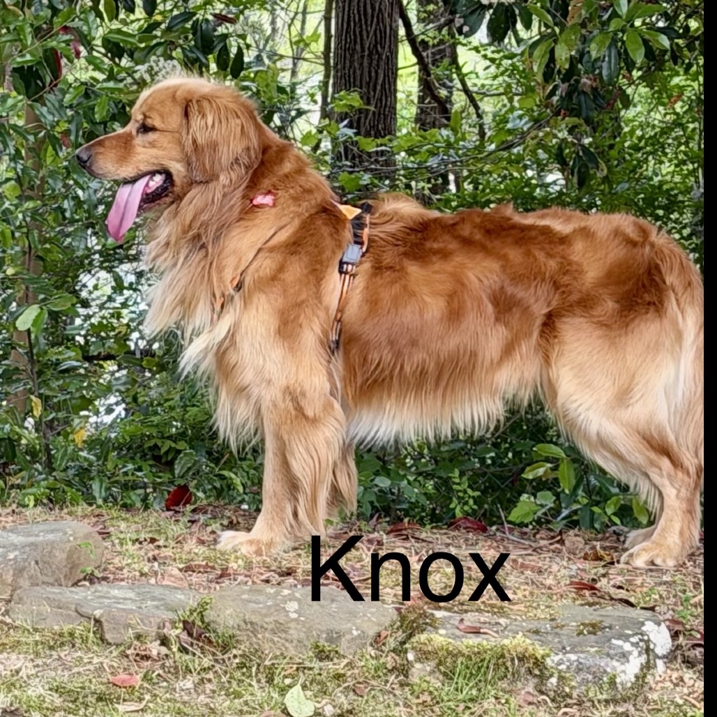 Knox