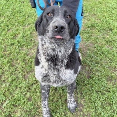 Kennel#27 Maizey's preview photo