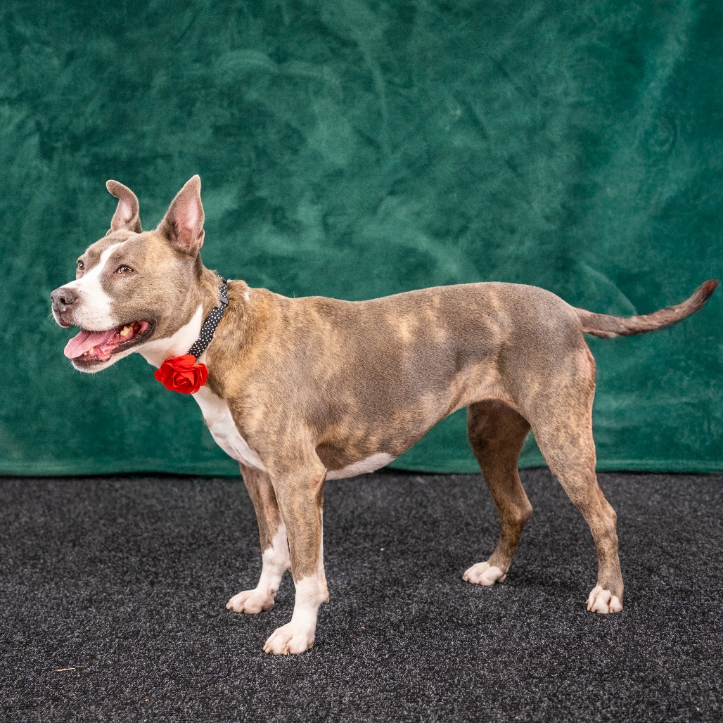 RILEY McPITTY, photo 12