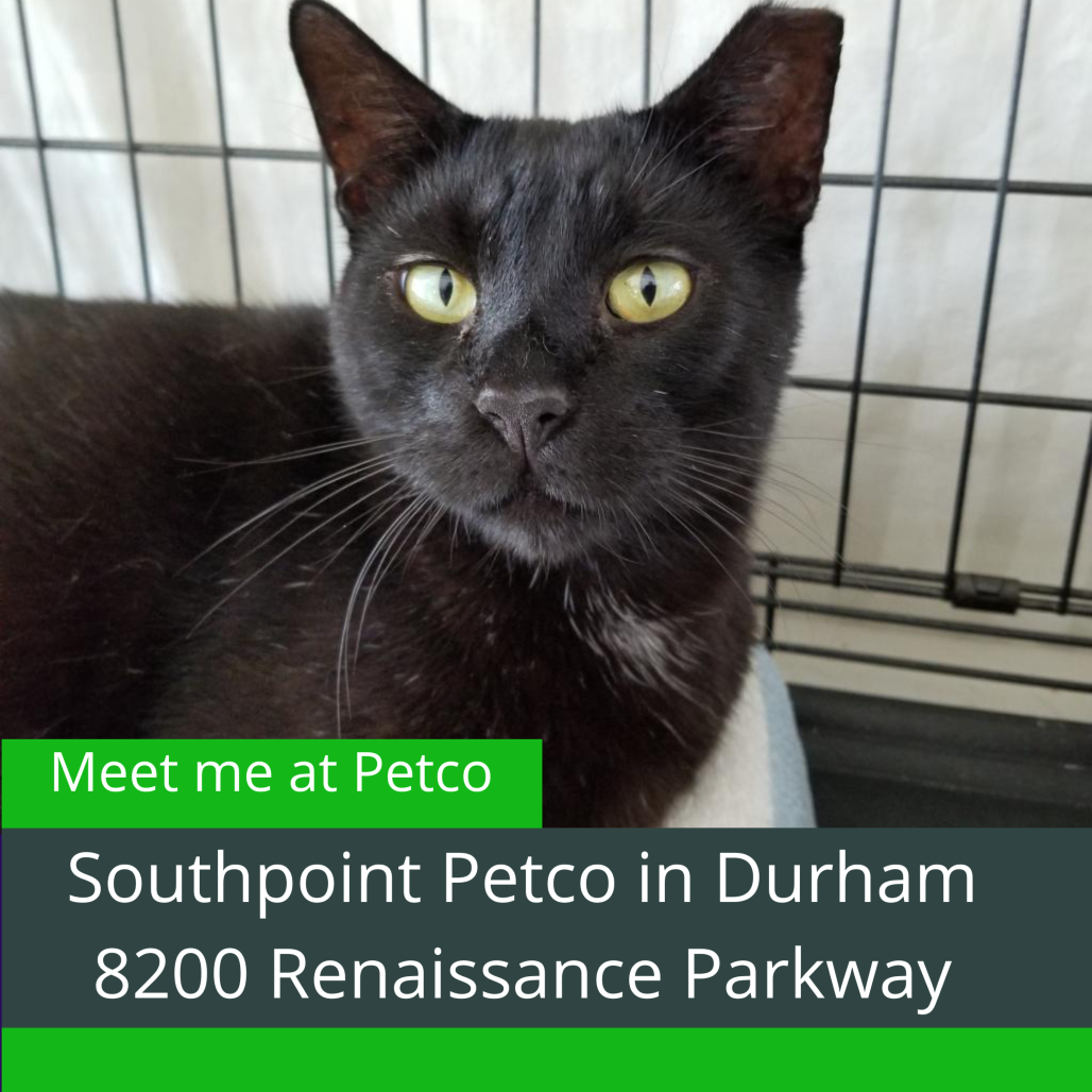 Lloyd — thumbnail 4