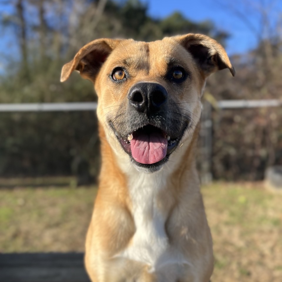 May May — thumbnail 2