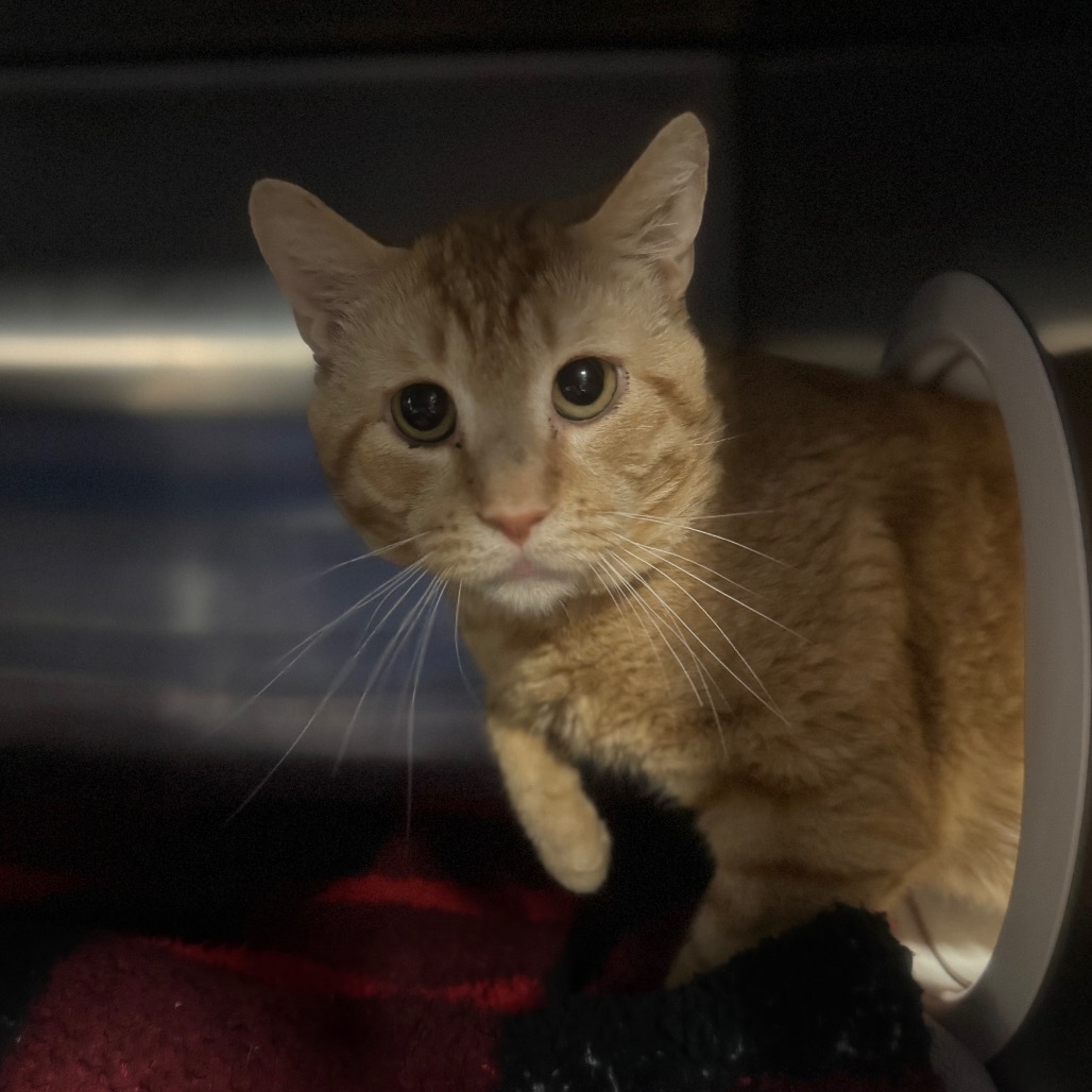 f2f81b325593693435c3b326b6f872da