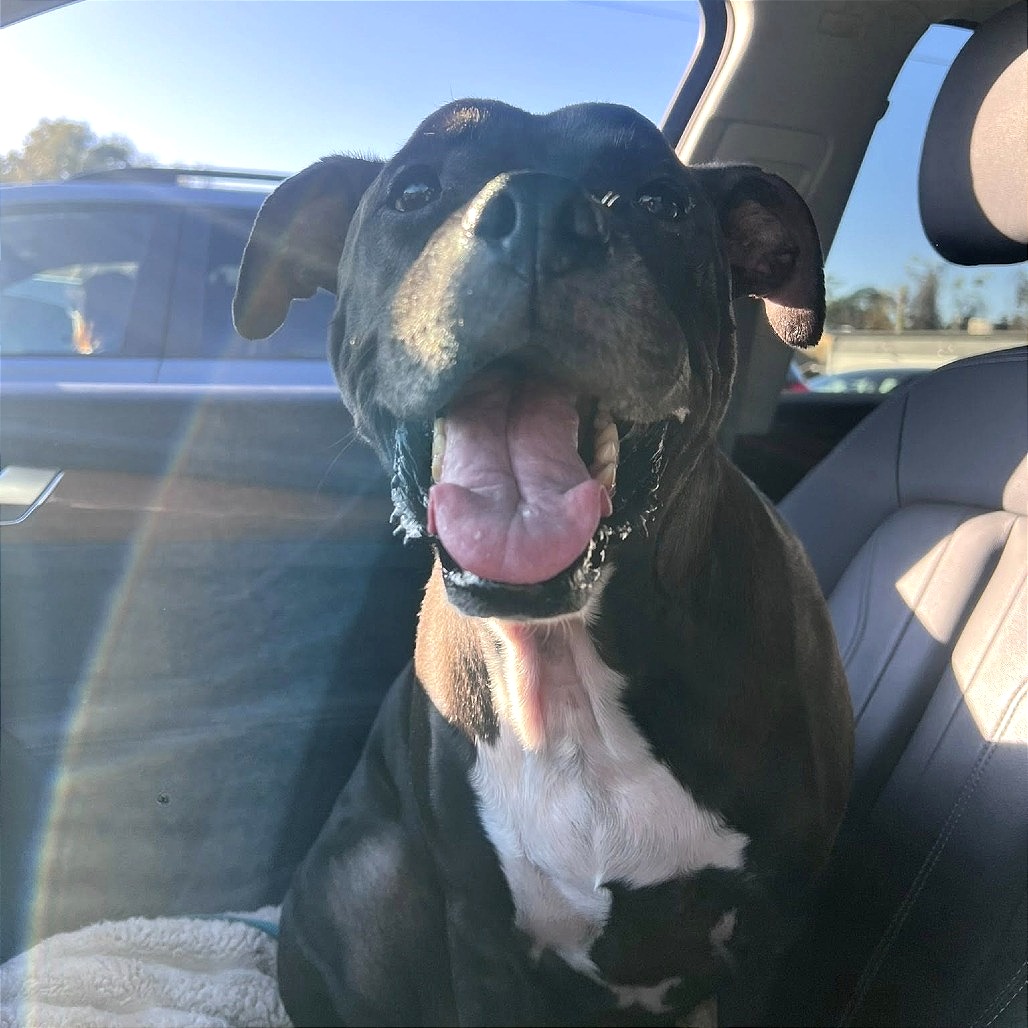 Frank, photo 9