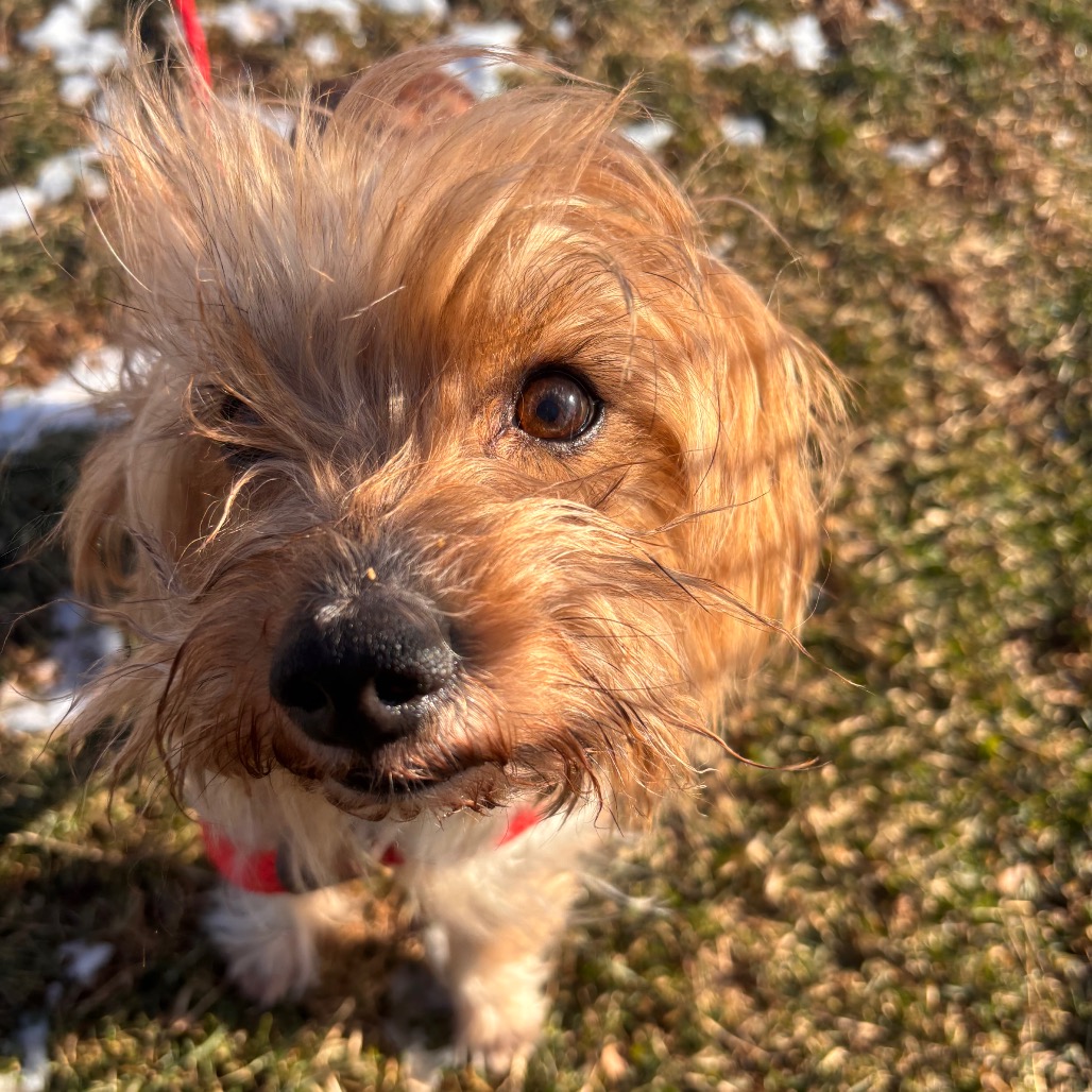 5ea797f4a5b3a944cba46f1c78a500b6