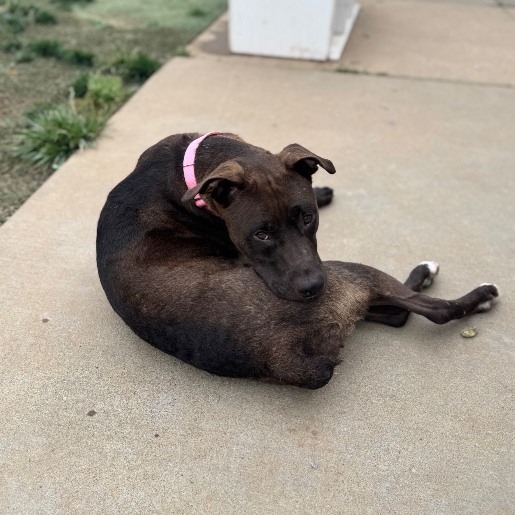 Mimi