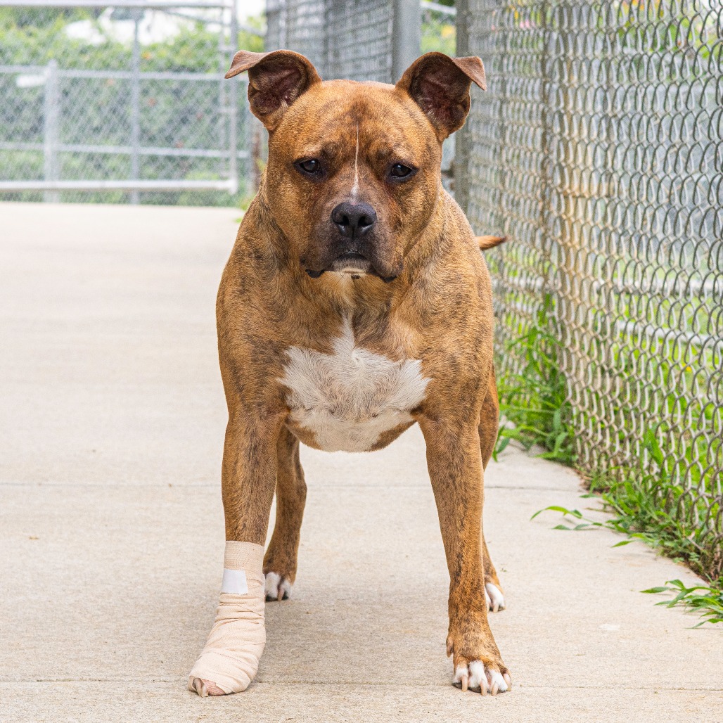 Zeus, additional photo