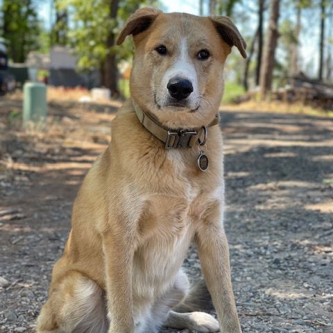 CLYDE — thumbnail 2