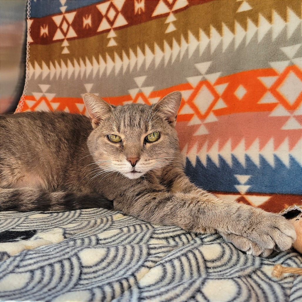 Izzy, photo 5