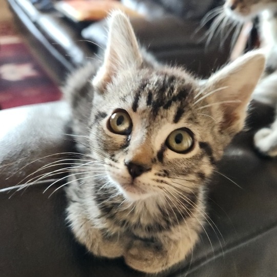 Winona — thumbnail 3