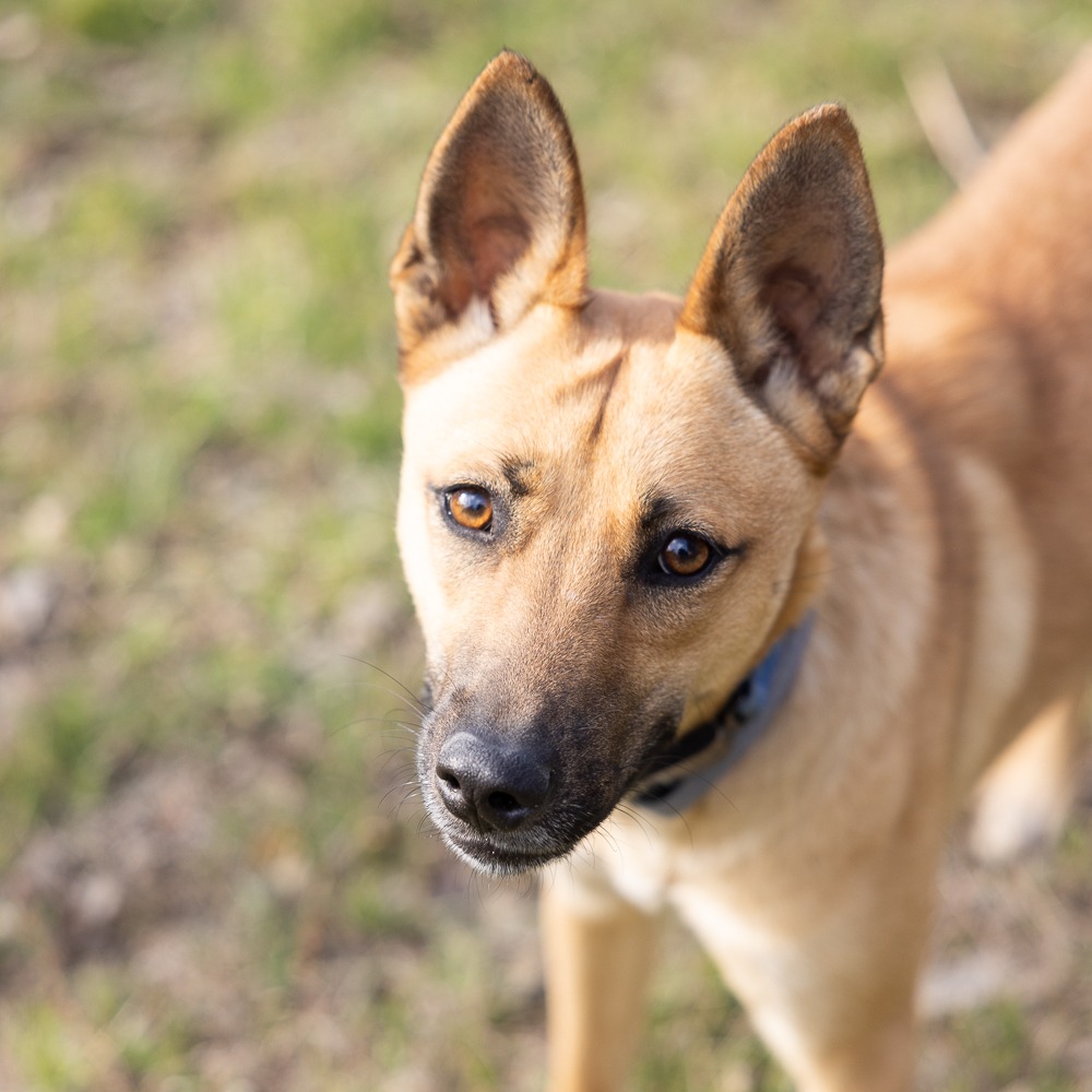 Rain — thumbnail 7