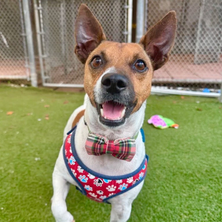 Another portrait of Ian