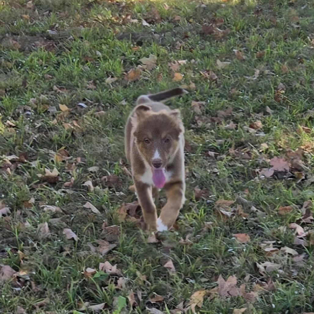 Molly, photo 4
