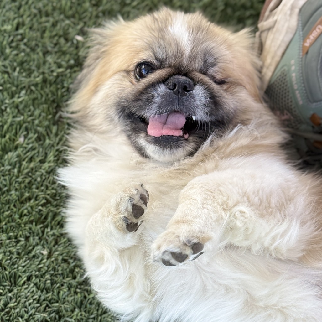 Muggsy, photo 7