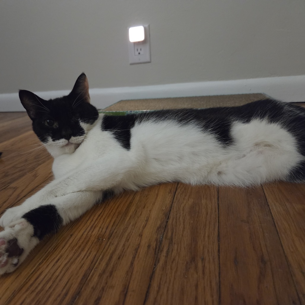 Coco Chanel, photo 9