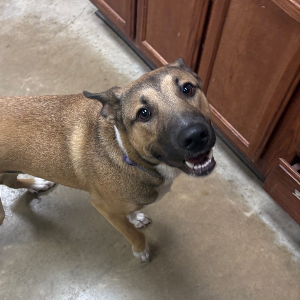 Roscoe- 092311U