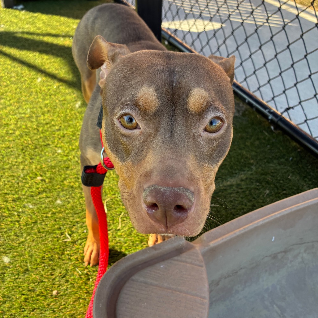 Nori — thumbnail 5