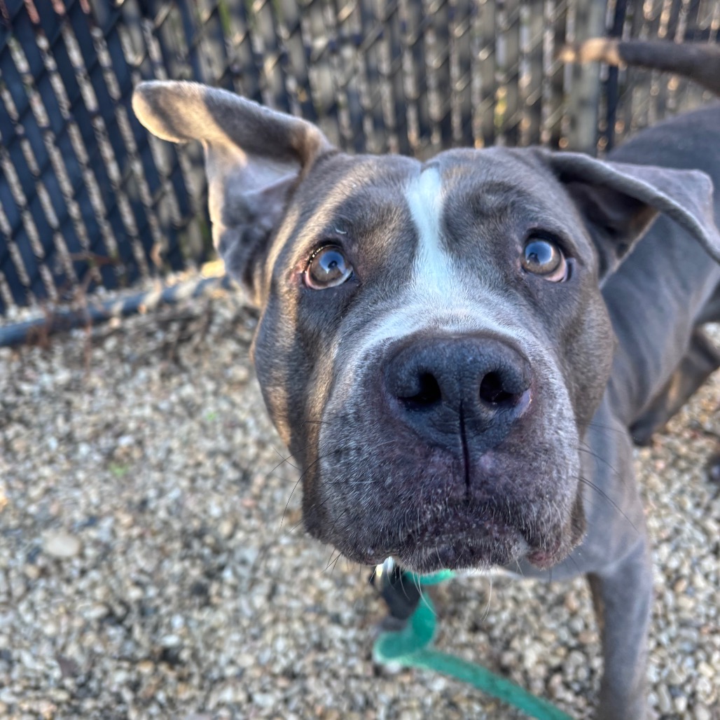 Beauty — thumbnail 2